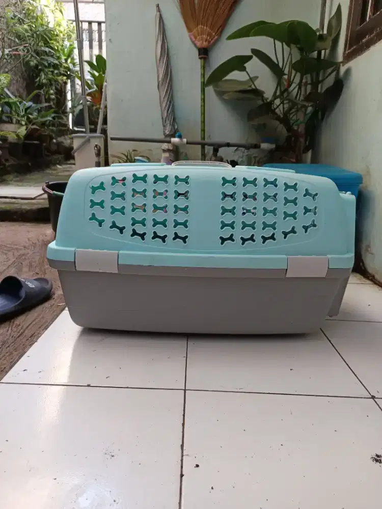 PET KARGO JUMBO