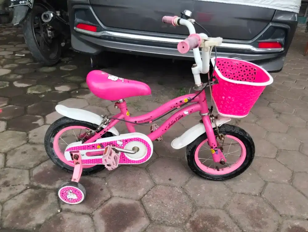 Jual mini pokyjon 12 inch