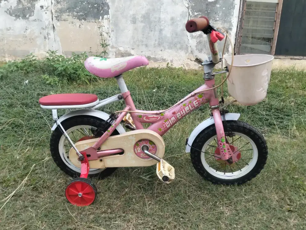 Jual mini wimcycle 12 in