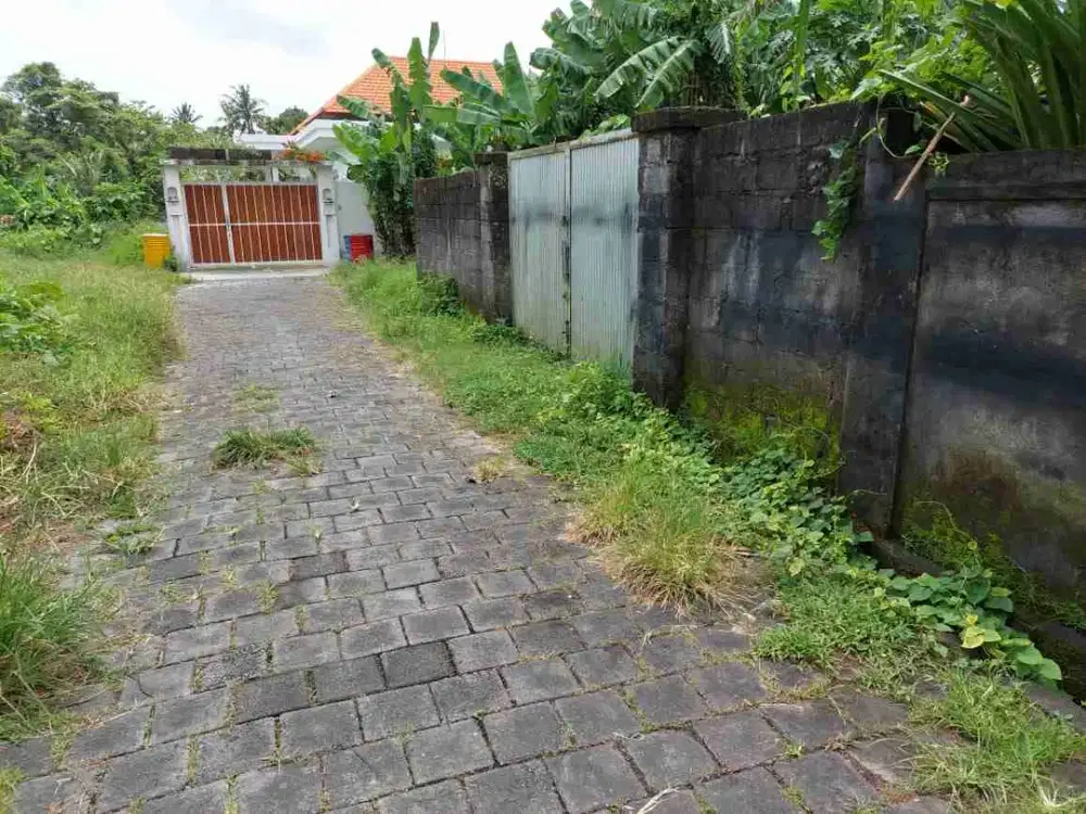 Buc tnh 2are bonus kostan full sewa gitasura peguyangan dkt sman8 dps