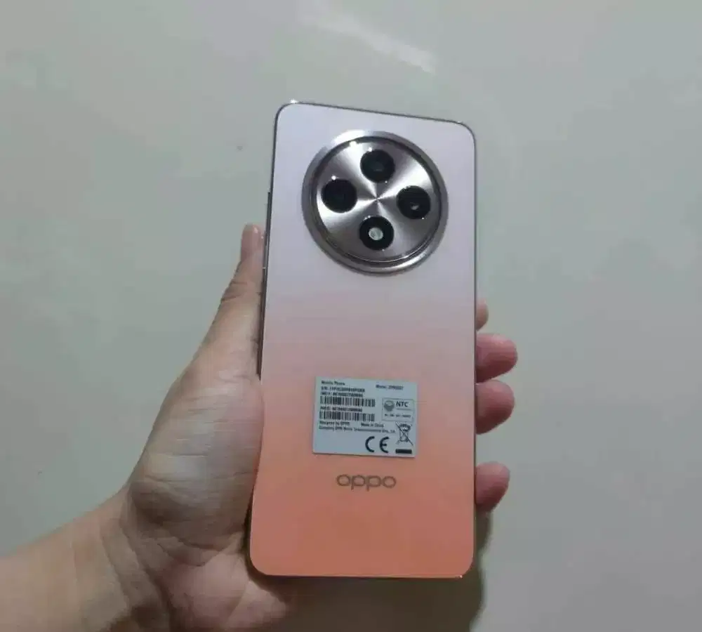 Reno 12f 4g 8/256 hp casan