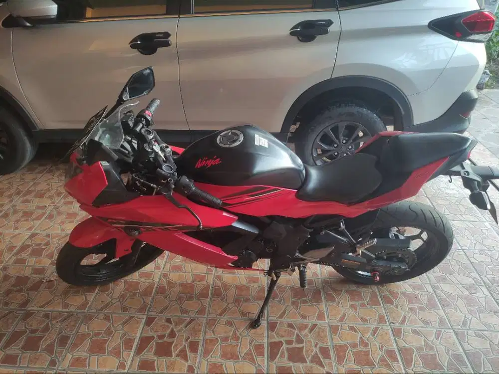 NINJA 250 CC MONO