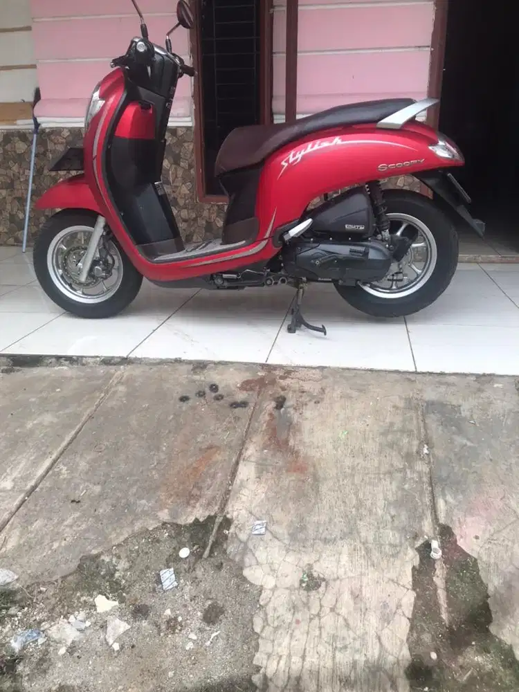 BISMILLAH dijual