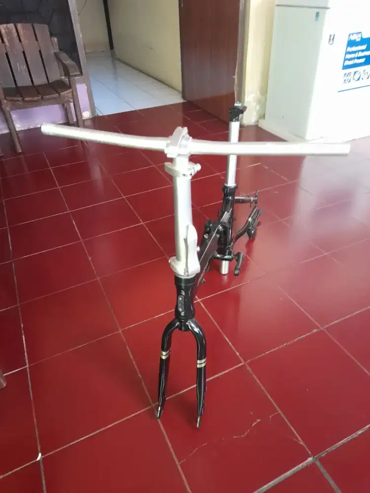 Frame pasific splendid alloy