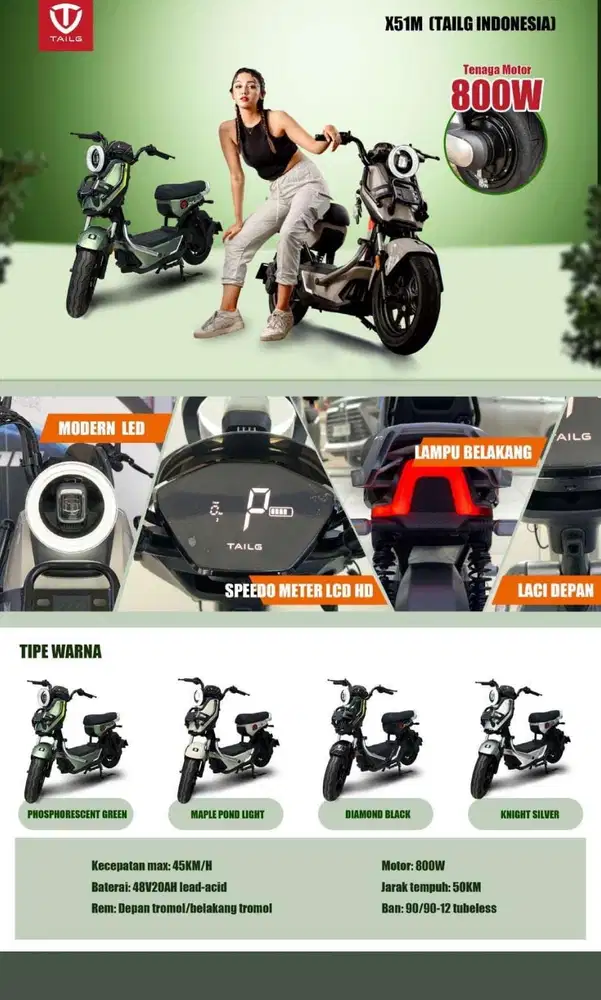 Sepeda Listrik Tailg X-51M