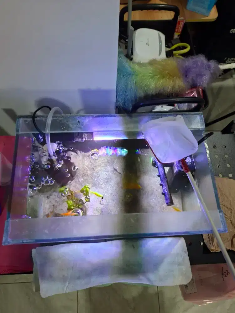 Akuarium berikut isi ikan dan aerator + filter