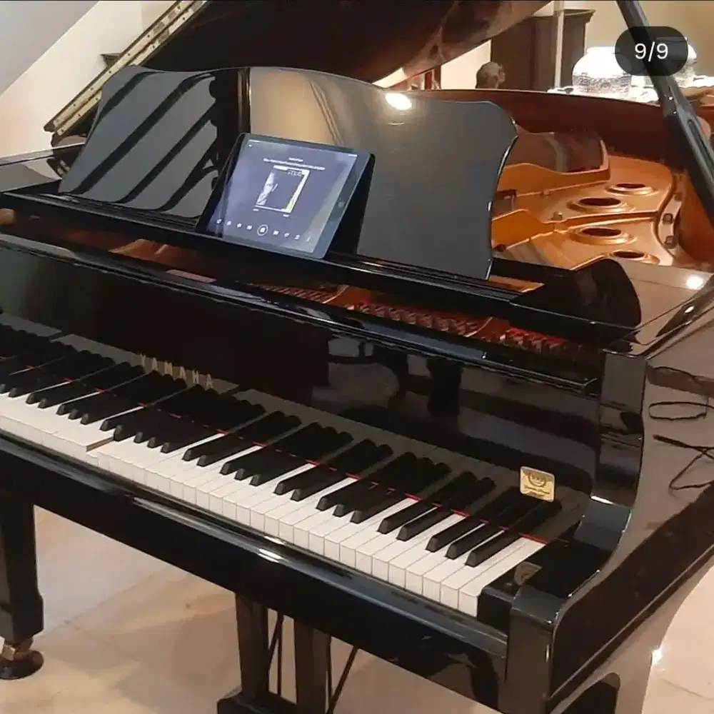 Jasa Pasang Pianodisc Prodigy system - Piano Otomatis Main sendiri