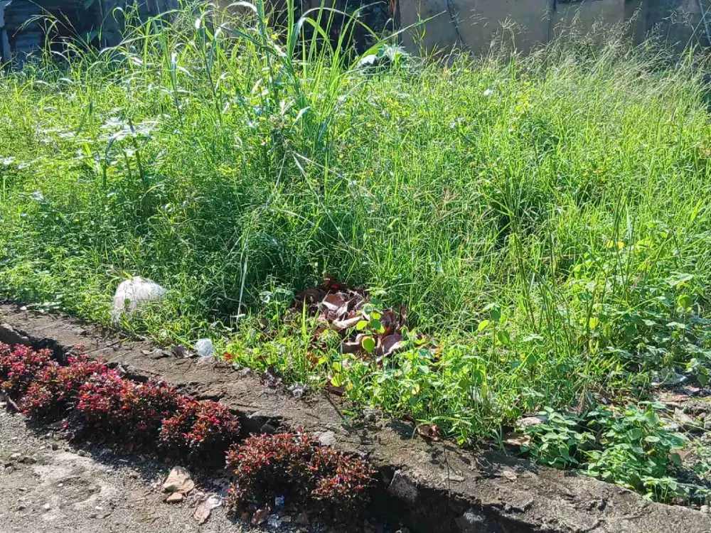 JUAL TANAH  BUAT  TEMPAT USAHA DAN RUKO GUNUNG SINDUR