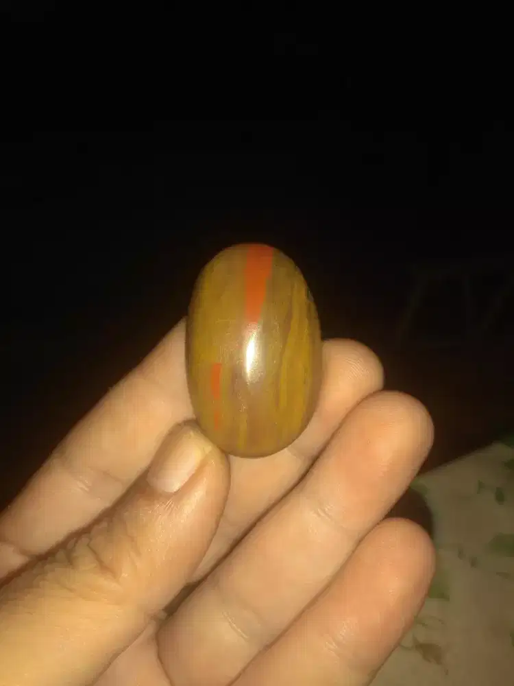 Batu kayu nagasari