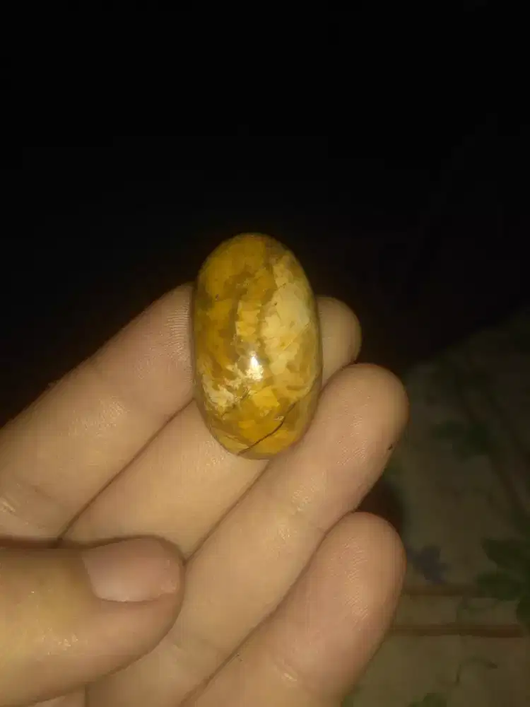 Batu fosil kayu jati