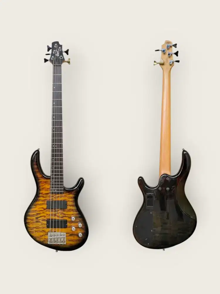 Cort Action V DLX 5 Indonesia 2011