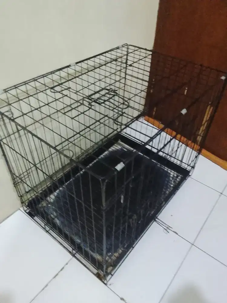 Kandang kucing/anjg ukuran 60x42x50 besi tebel