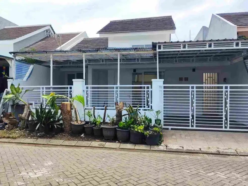 sewa rumah citra garden