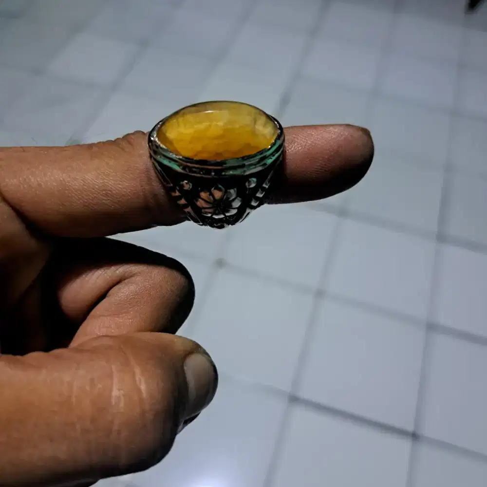 Natural batu akik pandan nanas sisik betok