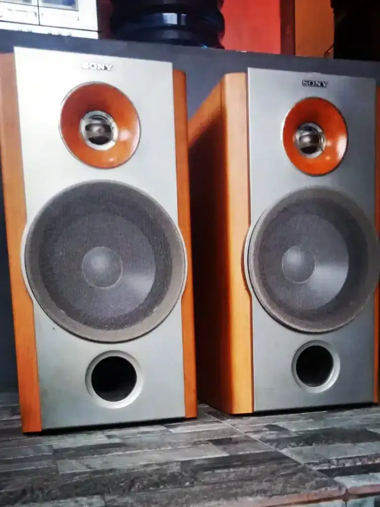 SONY SS NX 1 speaker