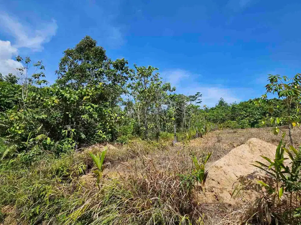 Dijual Tanah Bukit Doa.Balikpapan