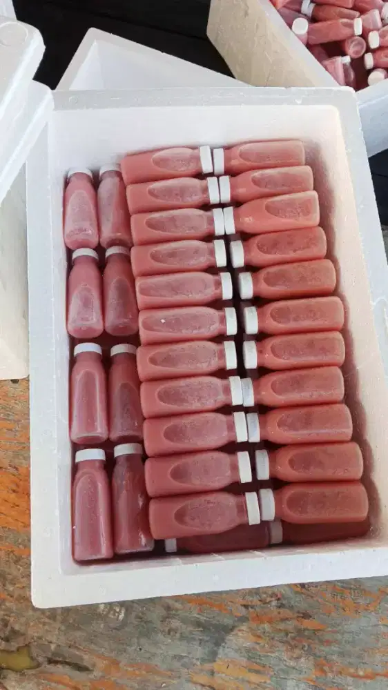 Jus buah segar/ready program mbg