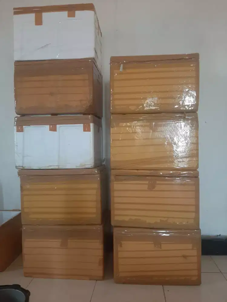 Box / Styrofoam / sterfoum / sterefoam / sterefom