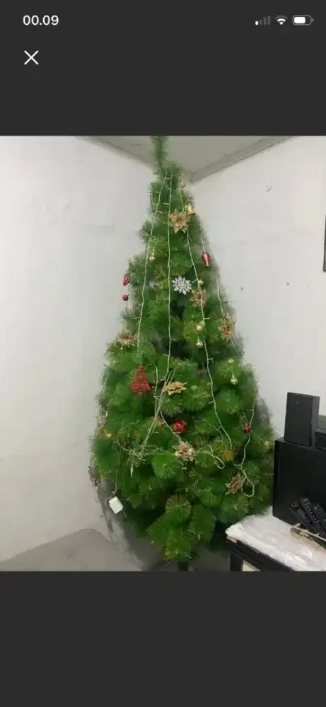 Pohon natal 8feet