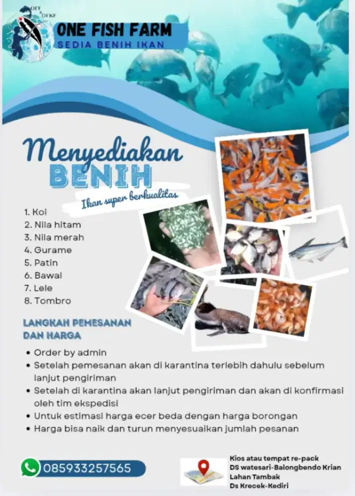 Jual bibit ikan