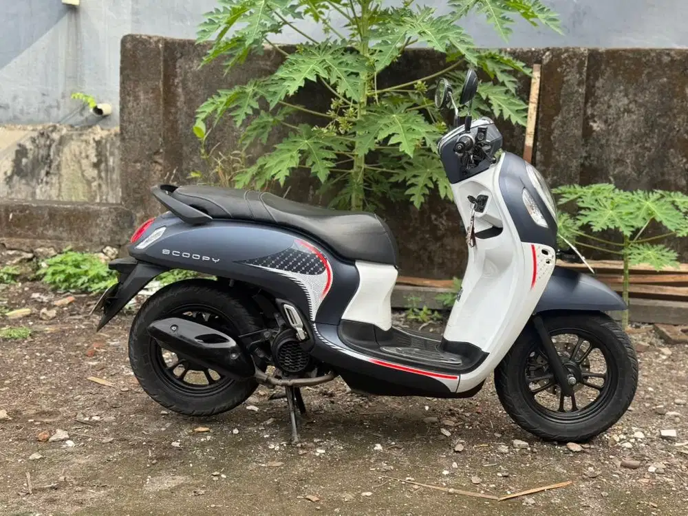 Scoopy kunci tahun 2024