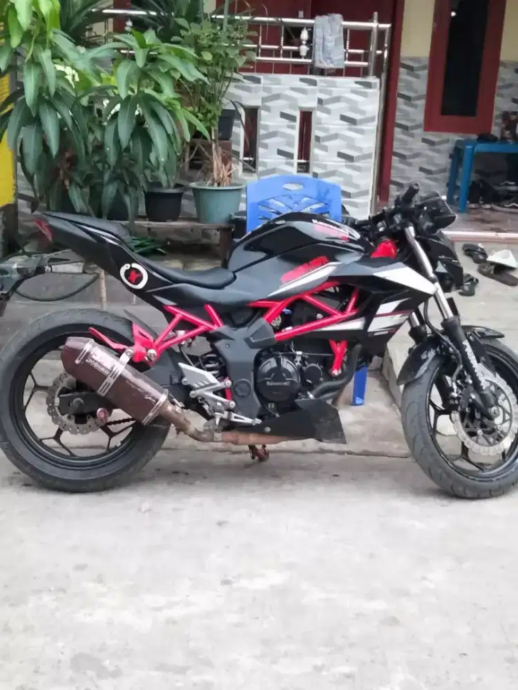 Kawasaki ninja BR250cc
