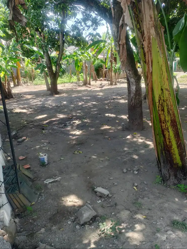 Jual Tanah Siap Bamgun