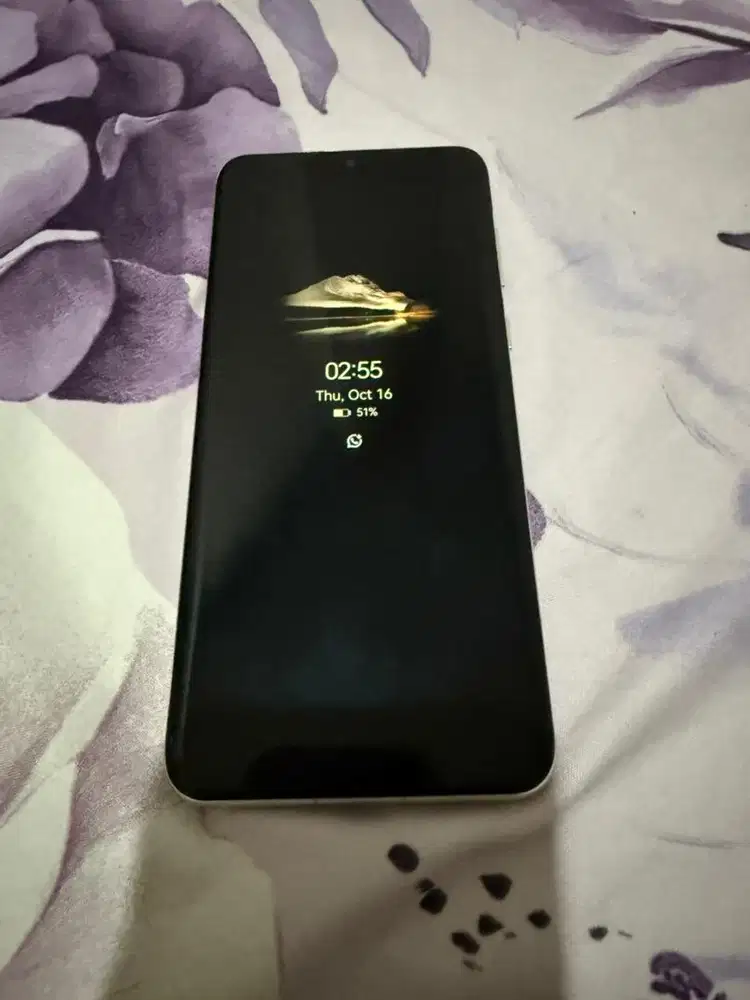 Huawei P60 Pro 12/256gb Inter Beacukai