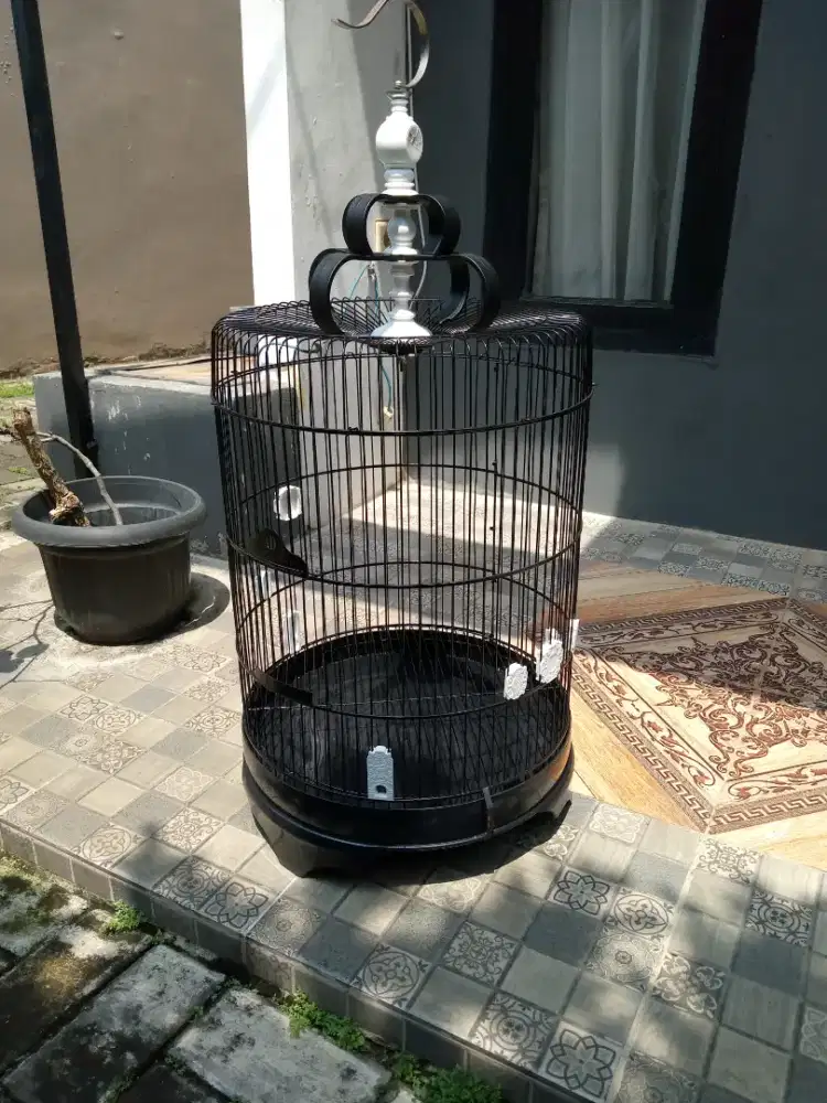 Sangkar besi jumbo D 42