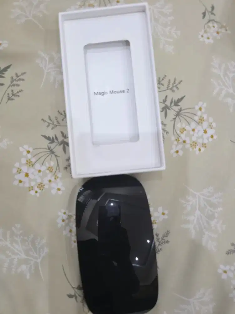 Magic Mouse Gen 2