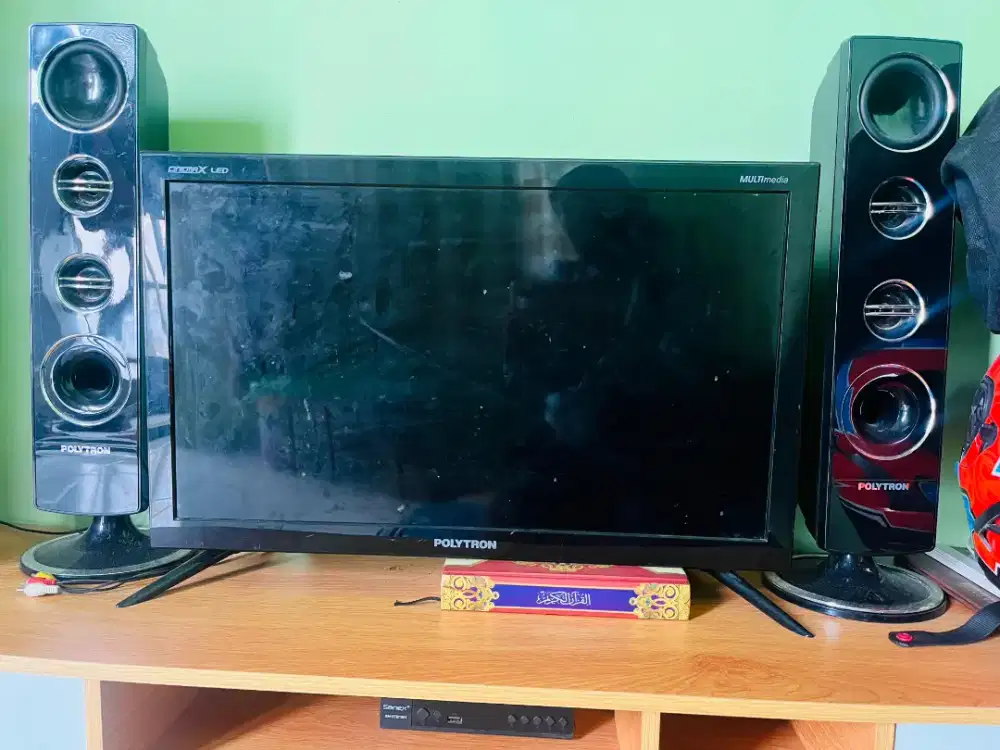 TV POLYTRON 24INCH