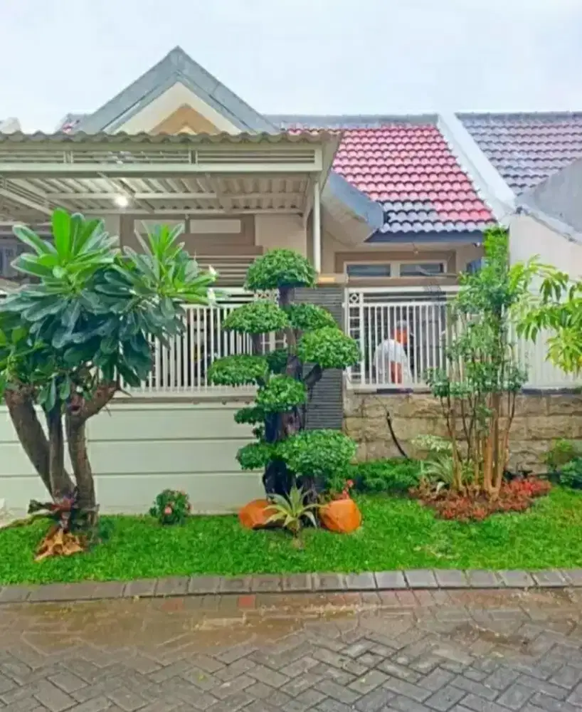Tukang pembuat Taman dan kolam koi