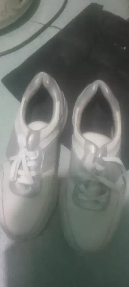 Sepatu Olahraga