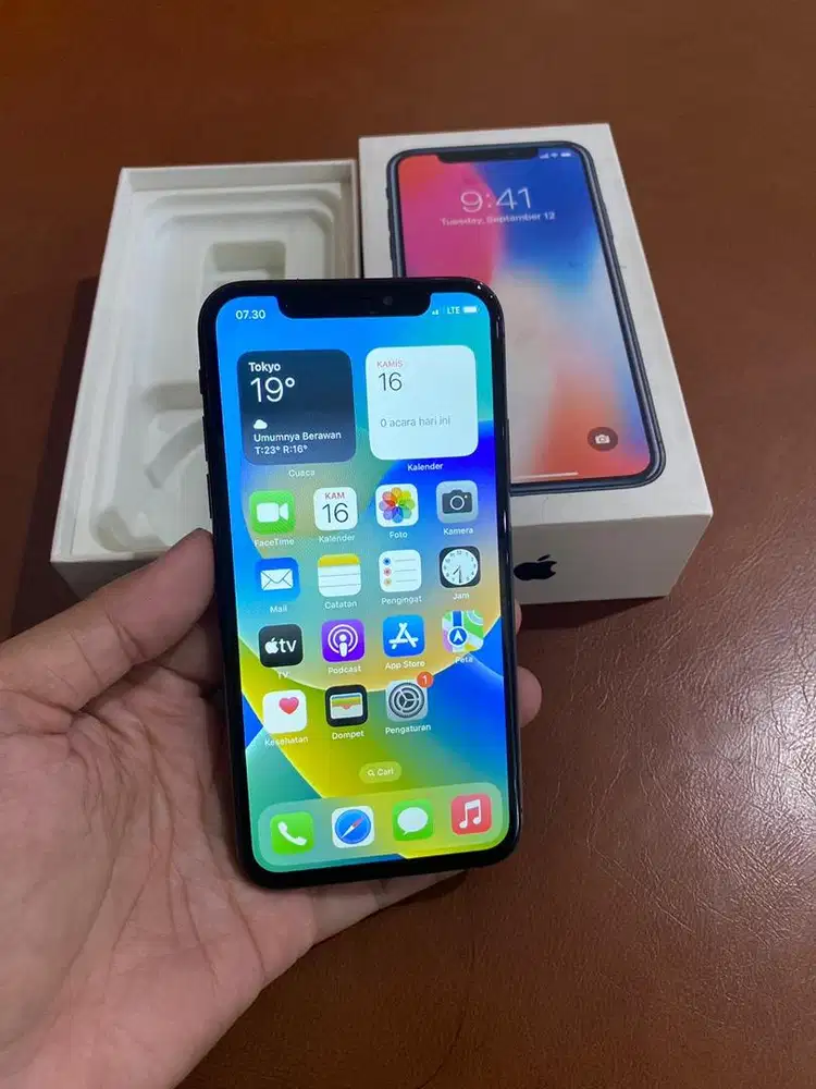 Iphone X 256 GB all operator