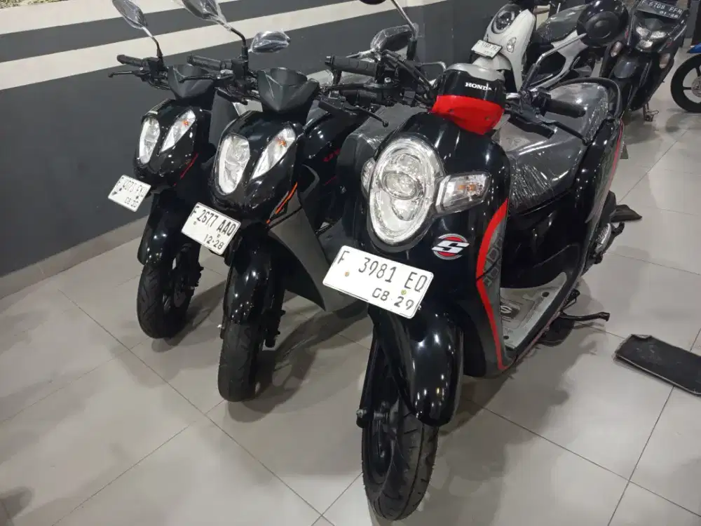 Scoopy staylis ECO 2019