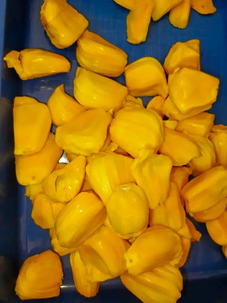 Nangka frezeer beku