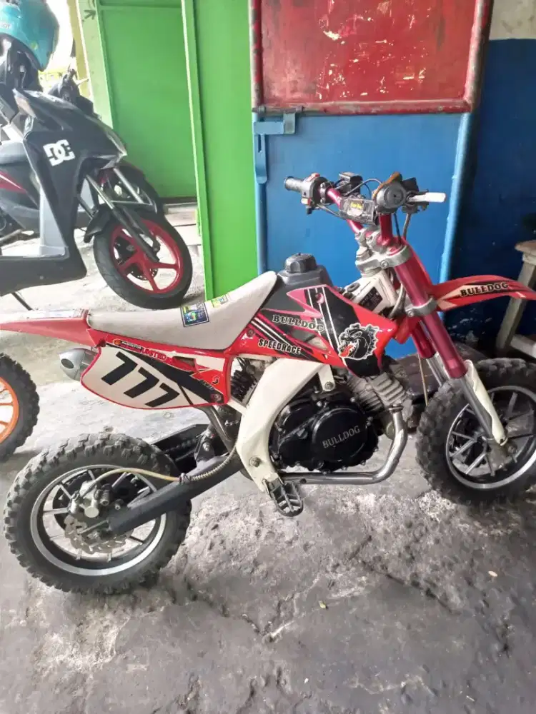 Mini Motor Trail Buldog