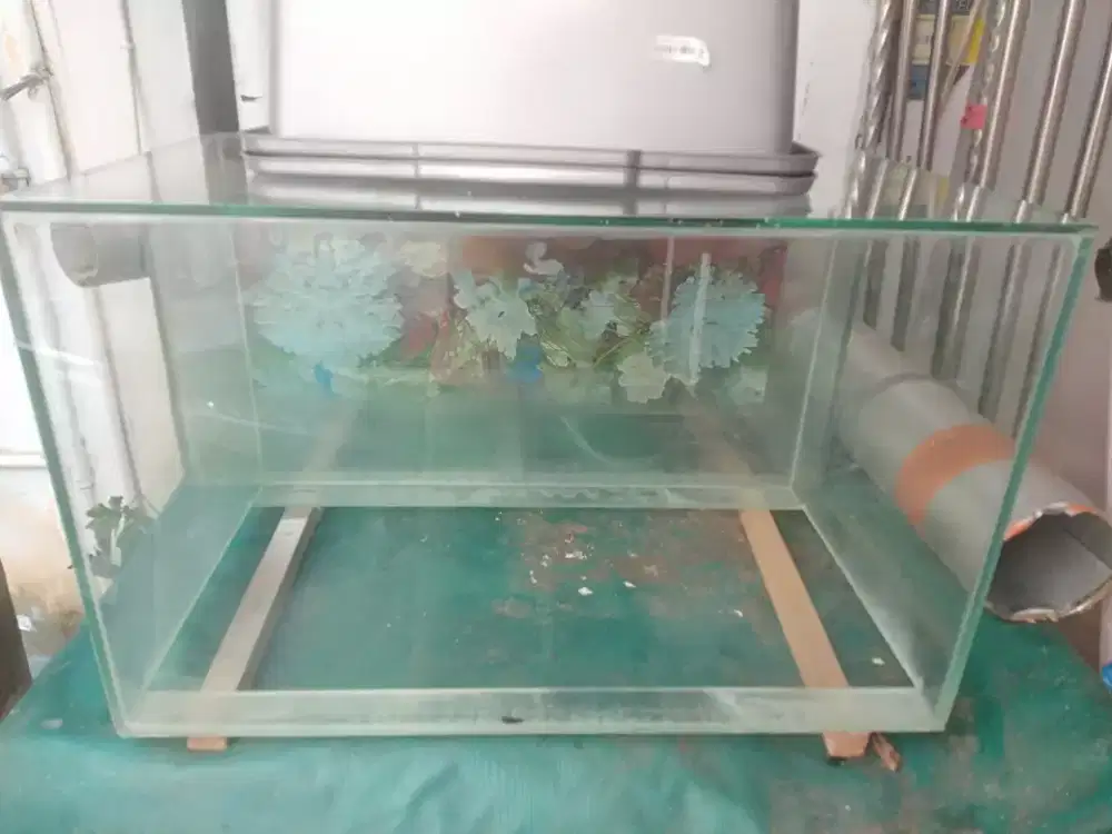 Aquarium kaca 50x30x30