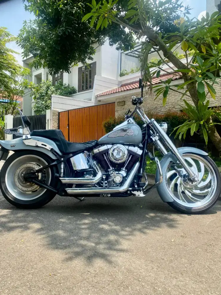 Harley Davidson softail custom