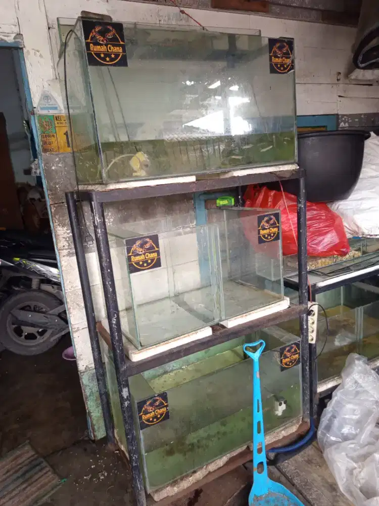 Aquarium siap. Pakai