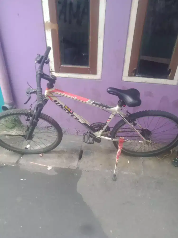 Sepeda gunung UNITE