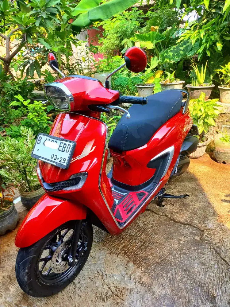 Jual stylo 2024 cbs