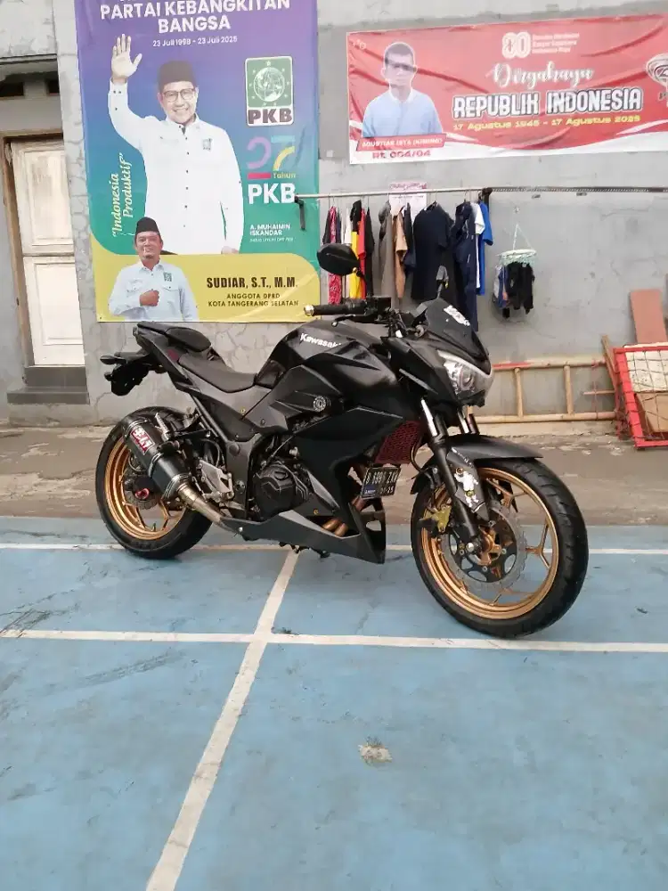 Kawasaki Ninja Z250 2013