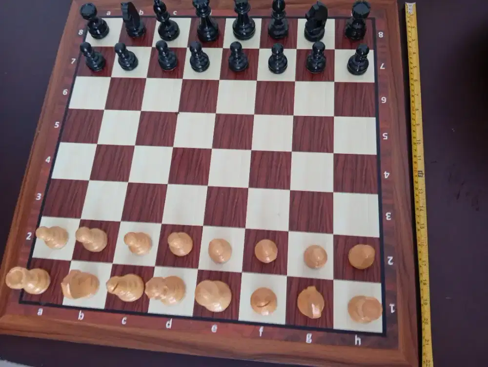 Alat olah raga catur papan dan bidak lengkap