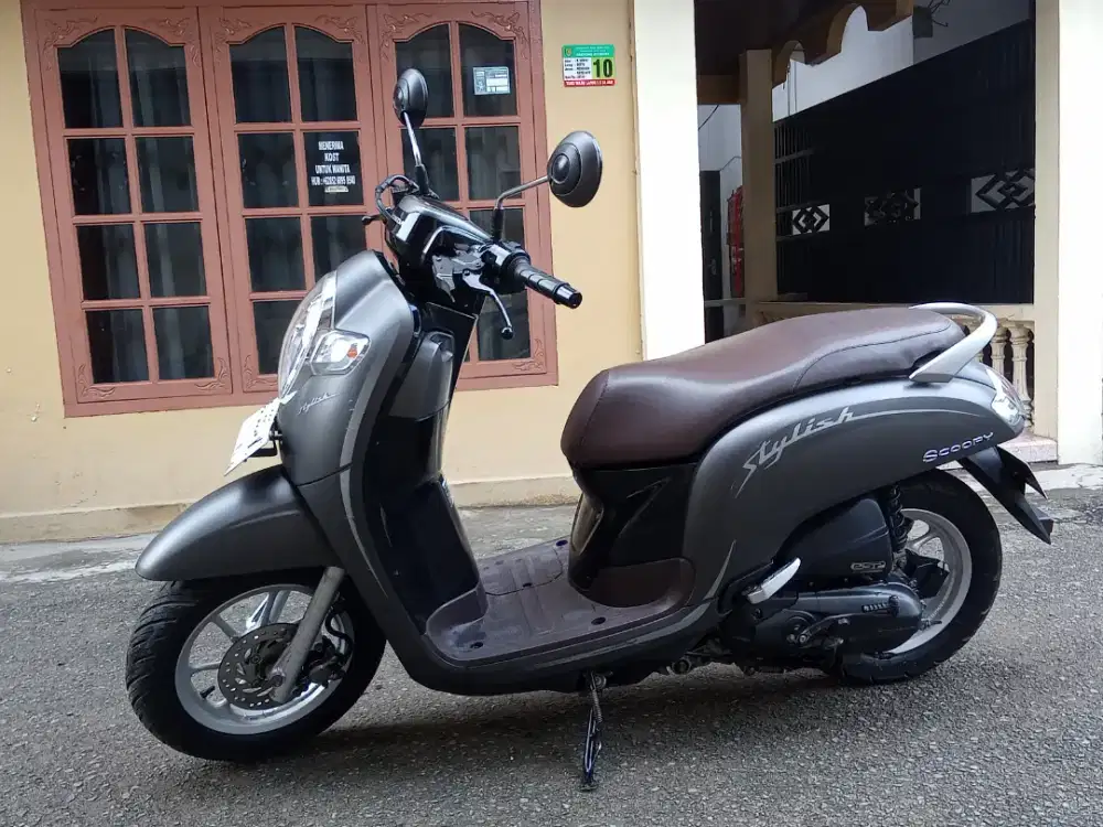 Scoopy stylish pajak hidup surat lengkap