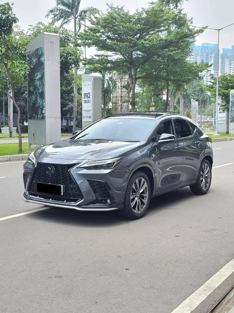 Lexus NX350h F-sport 2023 Grey On Black