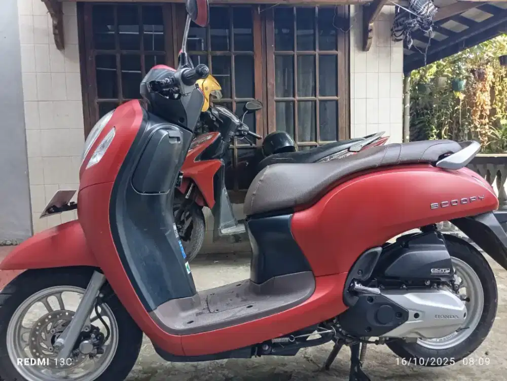 honda scoopy 2024