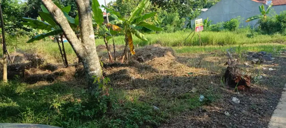 Dijual Tanah luas dan murah di Siroto Pudak Payung Banyumanik Khn