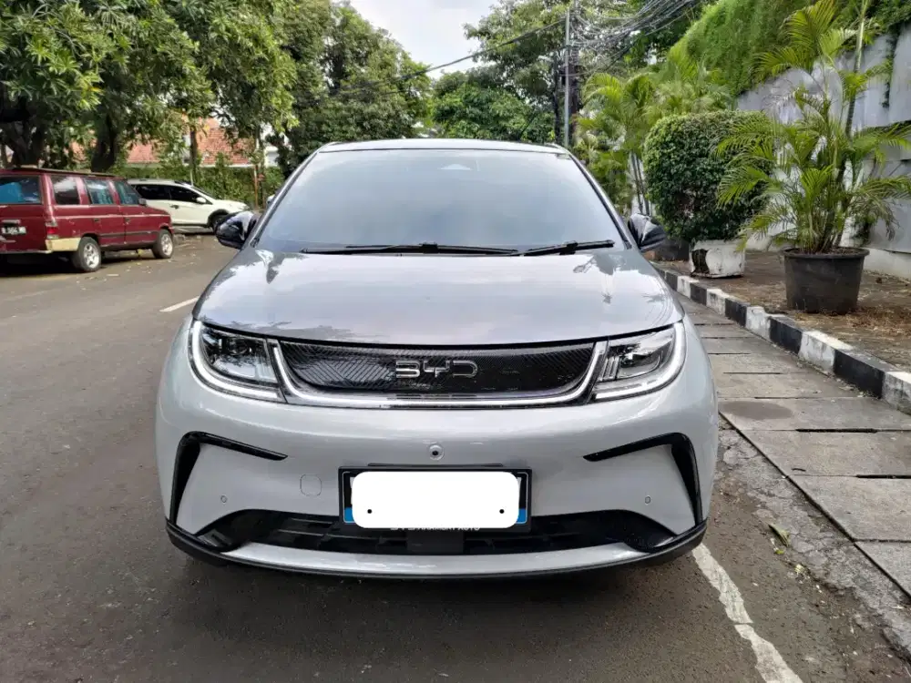 BYD DOLPHIN PREMIUM 2024