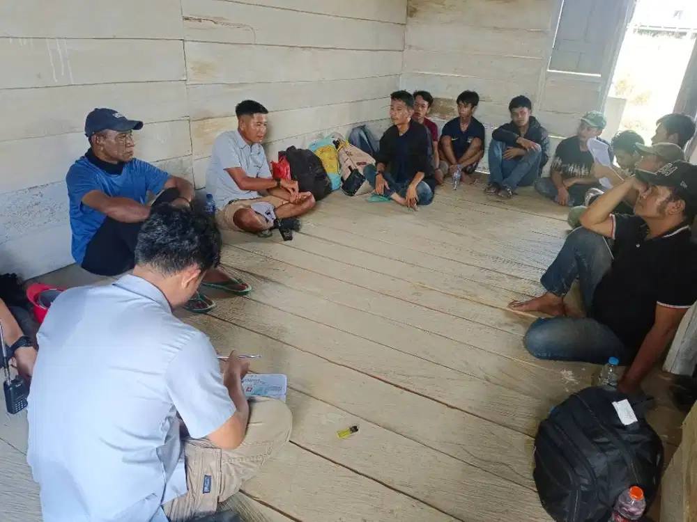 Lowongan pekerjaan panen dan perawatan kebun sawit sorong